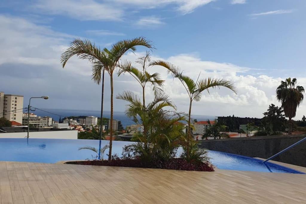 Apartment The Place View Funchal (Madeira)